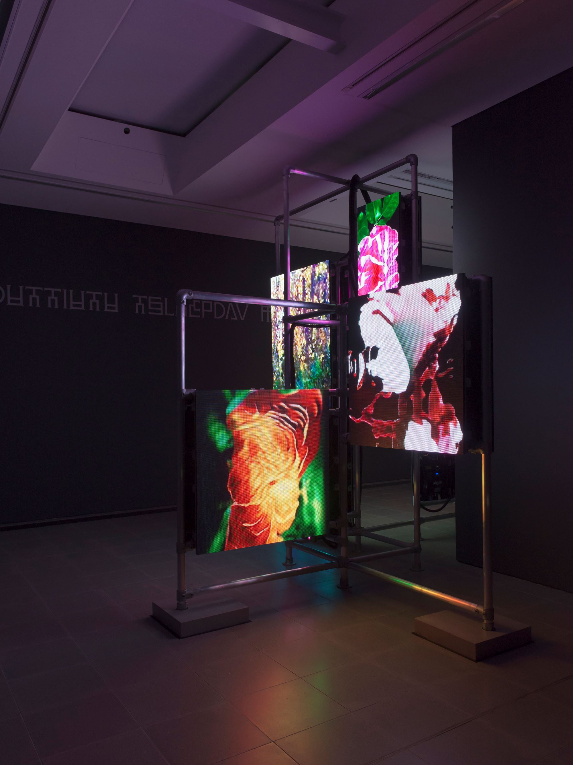 Hito Steyerl Biography, Artworks & Exhibitions | Ocula Artist