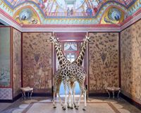 Brief Encounter, Palazzina Cinese by Karen Knorr contemporary artwork photography