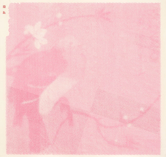 Bright Pink Big Bird (A) 桃色大鳥A by Nan Qi contemporary artwork