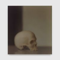 Schädel (Skull) by Gerhard Richter contemporary artwork photography