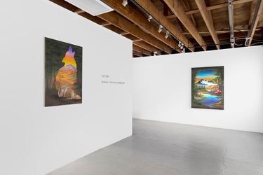 Exhibition view: Neil Raitt, Between a Rock and a Setting Sun, Anat Ebgi, 6150 Wilshire Blvd (13 November–18 December 2021). Courtesy Anat Ebgi.