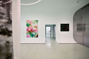 Exhibition view: Simon Song, Reflections, Studio Gallery, Shanghai (8 April–28 May 2023). Courtesy Studio Gallery.
