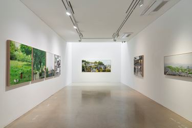 Exhibition view: Honggoo Kang, Study of Green-Seoul-Vacant Lot, ONE AND J. Gallery, Seoul (May 1–31, 2020). Courtesy ONE AND J. Gallery.