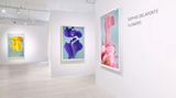 Contemporary art exhibition, Sophie Delaporte, Flowers at Sous Les Etoiles Gallery, New York, USA