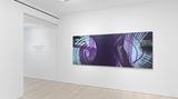 Contemporary art exhibition, Andrea Marie Breiling, Swallowtail at Almine Rech, New York, United States