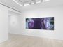 Contemporary art exhibition, Andrea Marie Breiling, Swallowtail at Almine Rech, New York, Upper East Side, United States