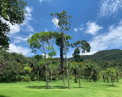 How to Make a Sculpture Park that Doesn’t Suck