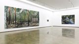Contemporary art exhibition, Bin Woo Hyuk, Luftwald at Gallery Baton, Seoul, South Korea
