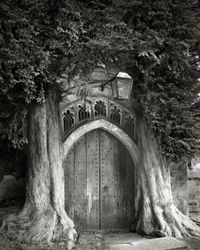 Sentinels of St. Edwards by Beth Moon contemporary artwork photography