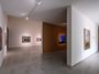 Contemporary art exhibition, Zhang Hongtu, If Bison Can Dream at Tina Keng Gallery, Taipei, Taiwan