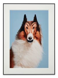 Reconstructed Lassie by John Waters contemporary artwork photography, print