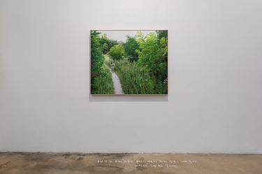 Honggoo Kang, Study of Green-Seoul-Vacant Lot-Imalsan (Mt.) (2019). Pigment print and acrylic on canvas. 100 x 120 cm. Courtesy ONE AND J. Gallery.