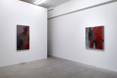 Exhibition view: Xie Qi, Disorder of Yeast, Galerie Urs Meile, Lucerne (1 December–19 February 2021). Courtesy Galerie Urs Meile.