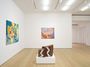 Contemporary art exhibition, Kim Yun Shin, In Focus at Lehmann Maupin, 501 West 24th Street, New York, United States