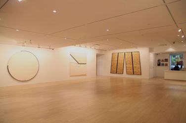 Exhibition view: Bernar Venet, Paintings 1967–2010, De Sarthe, Hong Kong (3 May–26 May 2012). Courtesy De Sarthe.