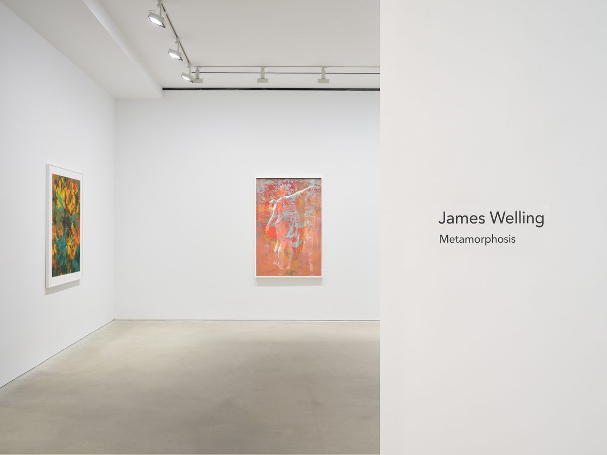 James Welling, 'Metamorphosis' at David Zwirner, Hong Kong on 1 