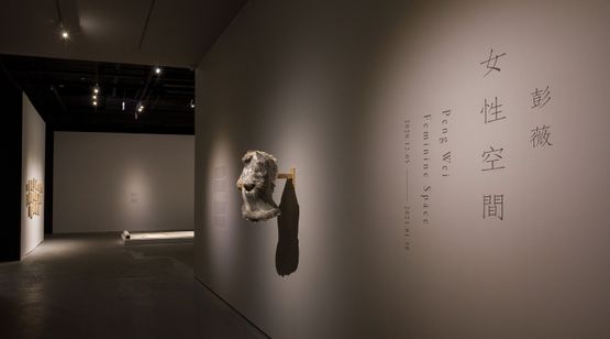 5 Dec 2020–30 Jan 2021 Peng Wei contemporary art exhibition