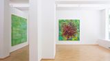 Contemporary art exhibition, Charlotte Acklin, dunkle Materie helle Energie at Boutwell Schabrowsky, Munich, Germany