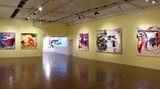 Contemporary art exhibition, Dale Frank, Wacky Duck Fluffy Tom at Roslyn Oxley9 Gallery, Sydney, Australia