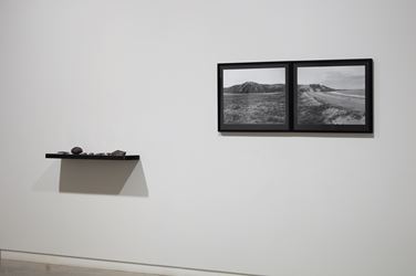 Exhibition view: Areta Wilkinson and Mark Adams, Repatriation, Two Rooms (20 September–20 October 2018).Courtesy Two Rooms. 