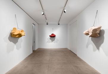 Exhibition view:Giuseppe Penone, Geometria Nelle Mani, Marian Goodman Gallery, New York (3 May–29 June 2024). Courtesy Marian Goodman Gallery.