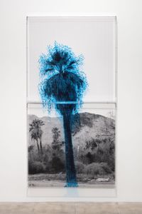 Numbers and Trees: Palm Canyon, Palm Trees Series 2, Tree #1, Cahuilla by Charles Gaines contemporary artwork mixed media