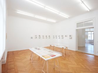 Exhibition view: Luca Frei, Hermann Scherchen: alles hörbar machen II, Barbara Wien, Berlin (28 November 2015–30 January 2016). Courtesy Barbara Wien.