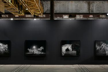 Installation view: Amos Gebhardt, Tolarno Galleries at Sydney Contemporary 2019. Courtesy Tolarno Galleries. Photo: Zan Wimberley. 