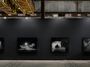 Contemporary art exhibition, Amos Gebhardt, Night Horse at Tolarno Galleries, Melbourne, Australia