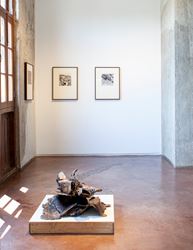 Exhibition view: Mrinalini Mukherjee, Bagh, Jhaveri Contemporary (29 February–28 March 2020). Courtesy Jhaveri Contemporary.