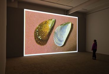Contemporary art exhibition, Mungo Thomson, Time Life / Universal Picture at Karma, 188 E 2nd Street, United States