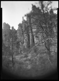 Chiricahua Cliff Face I by Joyce Campbell contemporary artwork photography