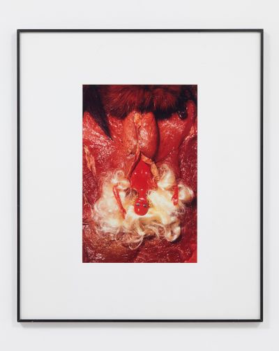 Birth of Barbie by Helen Chadwick contemporary artwork