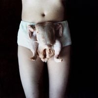 Chicken Knickers by Sarah Lucas contemporary artwork photography