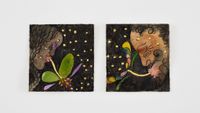 Harvest - Flower Eaters by Chris Ofili contemporary artwork works on paper, drawing