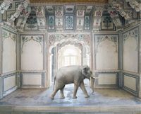 Ganesha's Stride, Abha Mahal, Ahichhatragarh, Nagaur by Karen Knorr contemporary artwork photography
