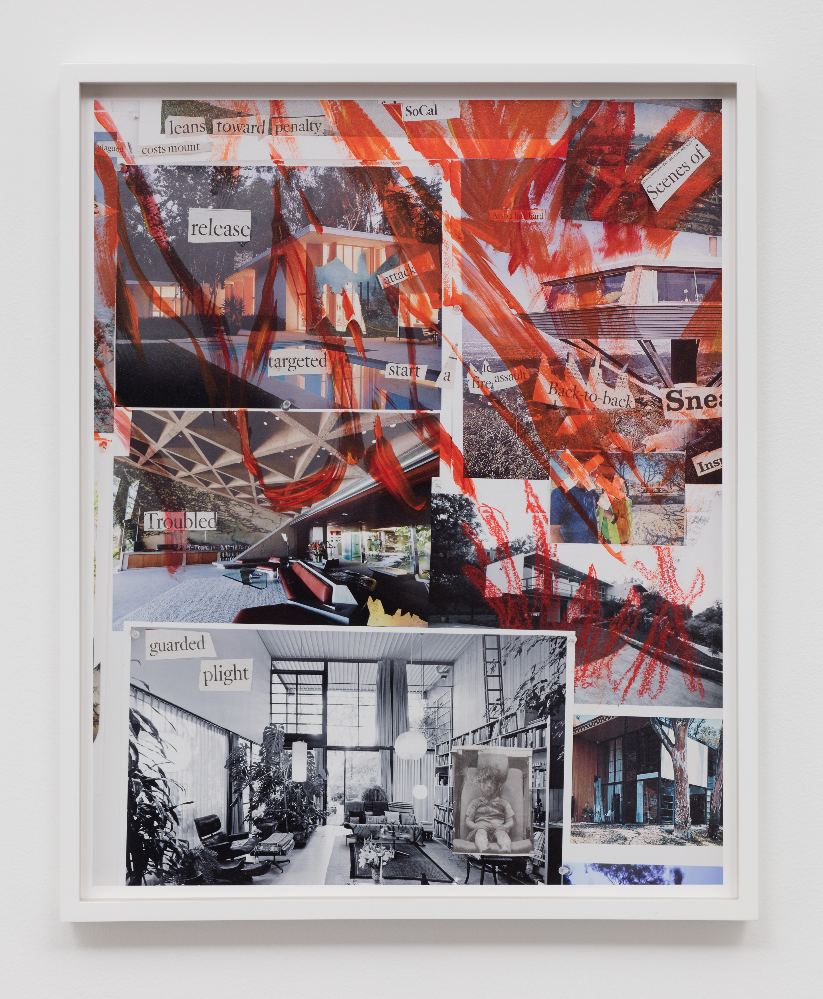 Catherine Opie's Art For Sale, Exhibitions & Biography