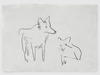 Canis lupus by Mirko Baselgia contemporary artwork works on paper