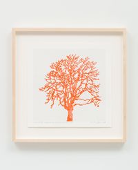 Numbers and Trees: Assorted Trees #6, Orange (Red Shade) Trees, Tree K by Charles Gaines contemporary artwork works on paper