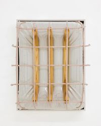 Bone Cage by Douglas Rieger contemporary artwork sculpture