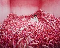 Monsoon Season by JeeYoung Lee contemporary artwork photography