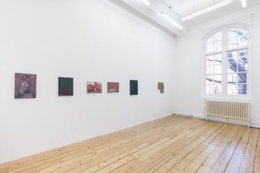Exhibition view: Behrang Karimi, Dinge Weltweit, Maureen Paley, Studio M, London  (21 January–5 March 2023). © Behrang Karimi. Courtesy Maureen Paley, London. Photo: Mark Blower