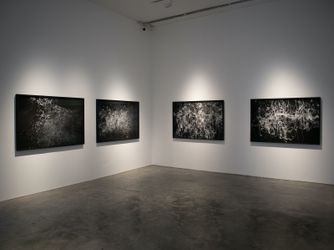 Exhibition view: Frank Callaghan, Flux, SILVERLENS, Manila (11 February–13 March 2021). Courtesy SILVERLENS.
