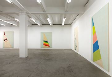 Exhibition view: Fredrik Værslev, Merman, Andrew Kreps Gallery, New York (7 January–11 February 2017). Courtesy the artist and Andrew Kreps Gallery, New York.