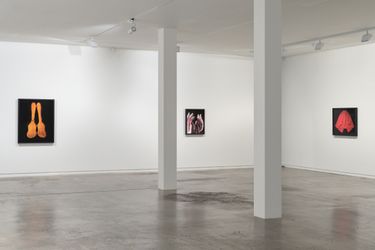 Exhibition view: Greta Anderson, The Transcenders, Two Rooms, Auckland (3 June–2 July 2022). Courtesy Two Rooms. Photo: Sam Hartnett.