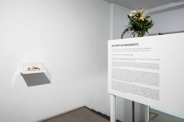 Exhibition view: Group exhibition, History in Fragments, Sabrina Amrani, Madera, Madrid (8 September–12 November 2022).Courtesy Sabrina Amrani.