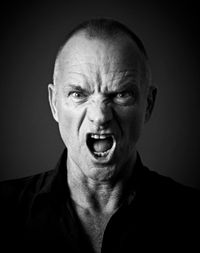 Sting by Andy Gotts contemporary artwork photography, print