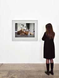Exhibition view: Thomas Struth, Nature & Politics, Marian Goodman Gallery, Paris (25th May - 26th July 2024). Courtesy the artist & Marian Goodman Gallery.