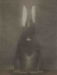 In the Name of the Rabbit 0822 by Shao Fan contemporary artwork