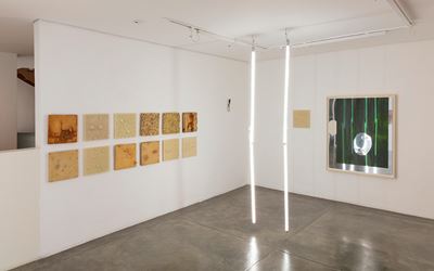 Exhibition view: Carlito Carvalhosa, Faço Tudo Para Não Fazer Nada, Galeria Nara Roesler, São Paulo (25 November-7 February 2017). Courtesy Galeria Nara Roesler, São Paulo.
